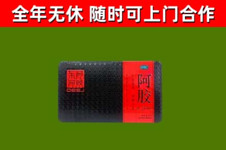 昌乐回收阿胶